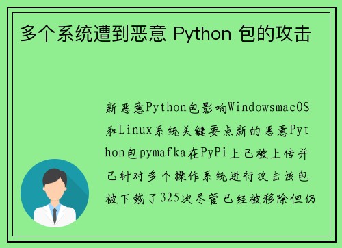 多个系统遭到恶意 Python 包的攻击 