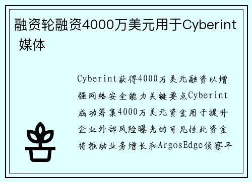 融资轮融资4000万美元用于Cyberint 媒体