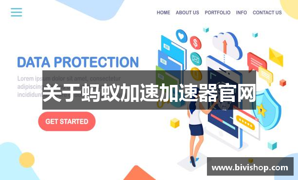 关于蚂蚁加速加速器官网