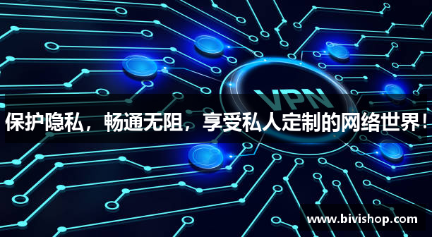 保护隐私，畅通无阻，享受私人定制的网络世界！
